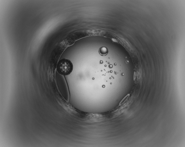 X0000116320429200912011116