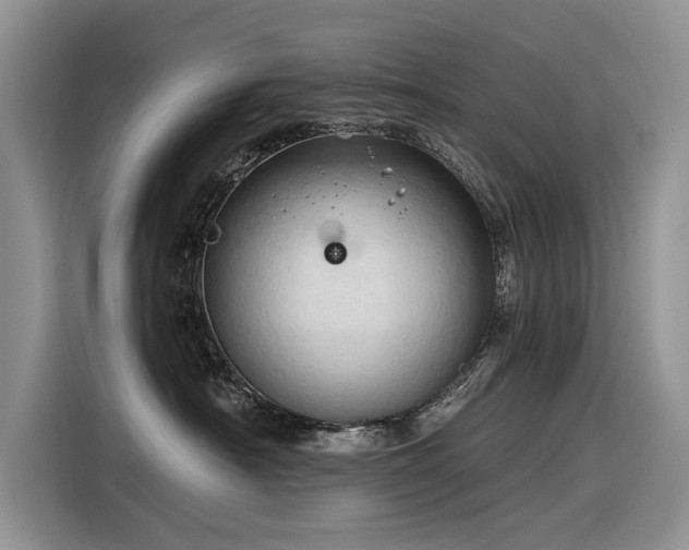 X0000116320430200912011116