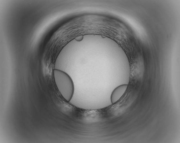 X0000116320431200912011116