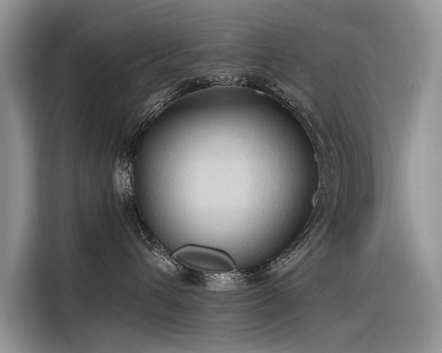 X0000116320432200912011116