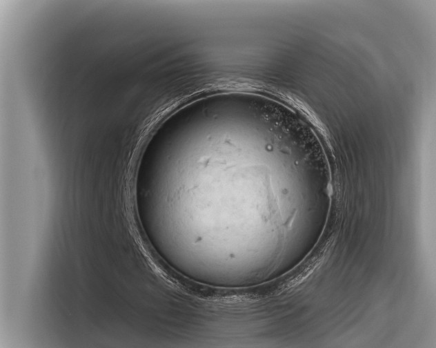 X0000116320433200912011115