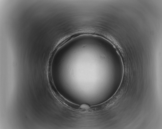 X0000116320434200912011115