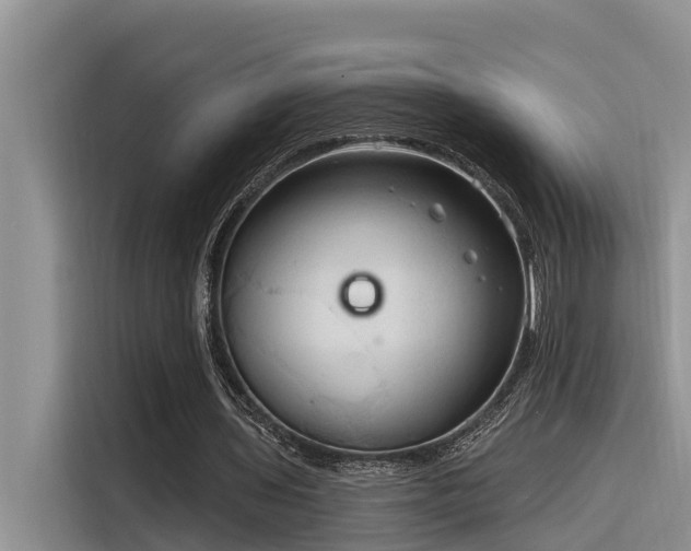 X0000116320435200912011115