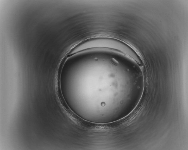 X0000116320437200912011115