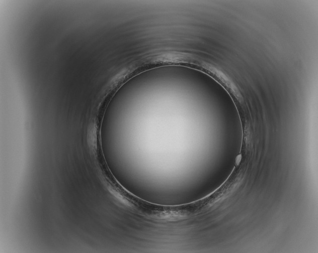 X0000116320445200912011116