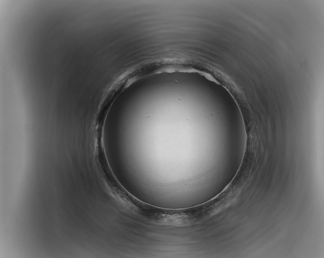 X0000116320446200912011116