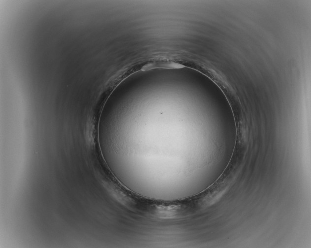 X0000116320450200912011116