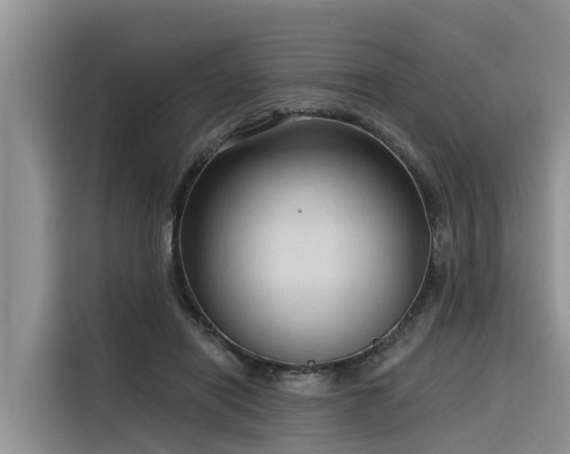 X0000116320454200912011116