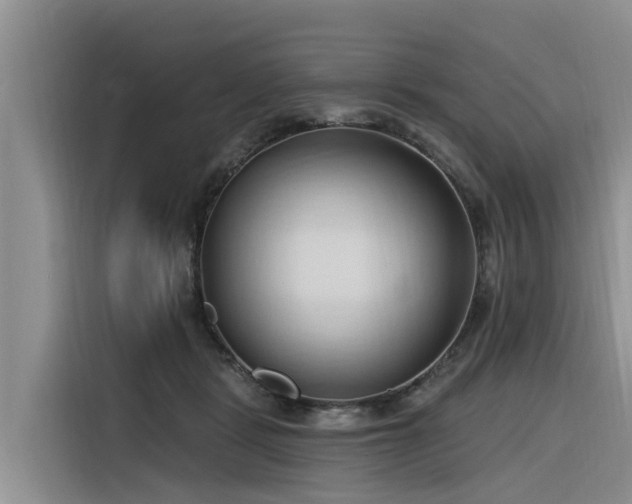 X0000116320461200912011116