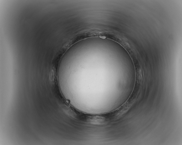 X0000116320463200912011116