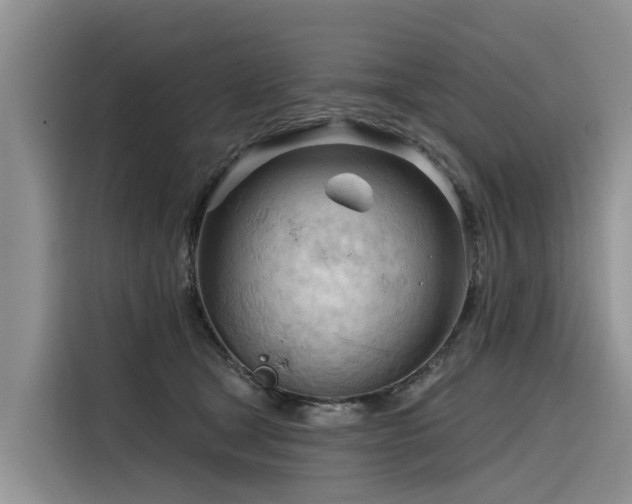 X0000116320465200912011116