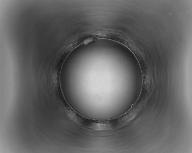 X0000116320466200912011116