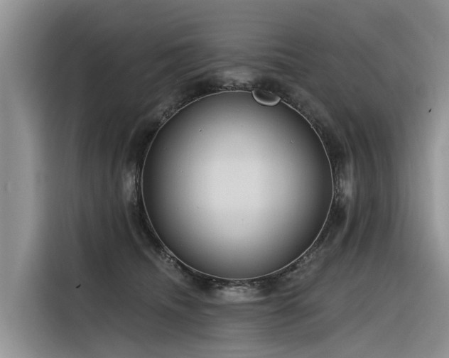 X0000116320468200912011116