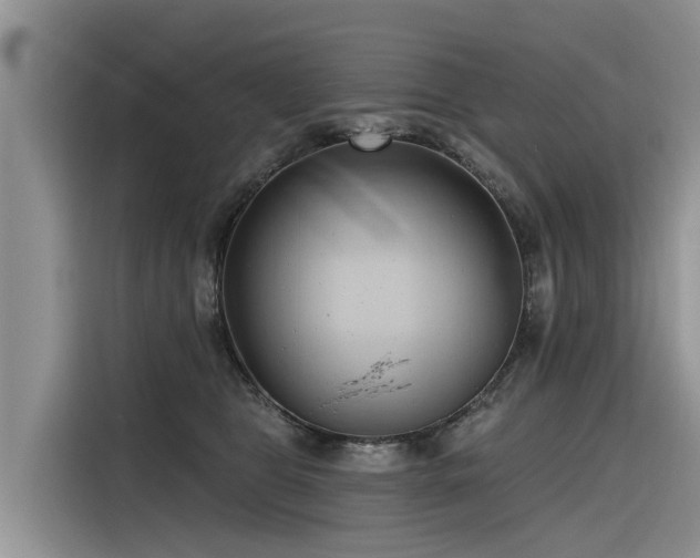 X0000116320469200912011116