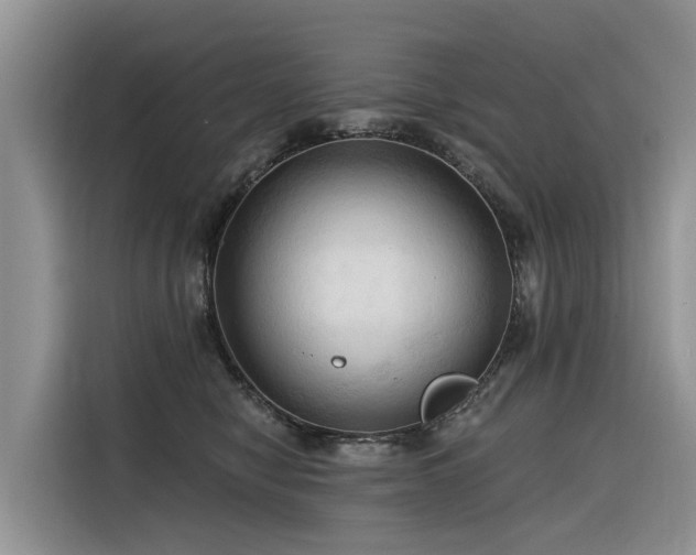 X0000116320470200912011116