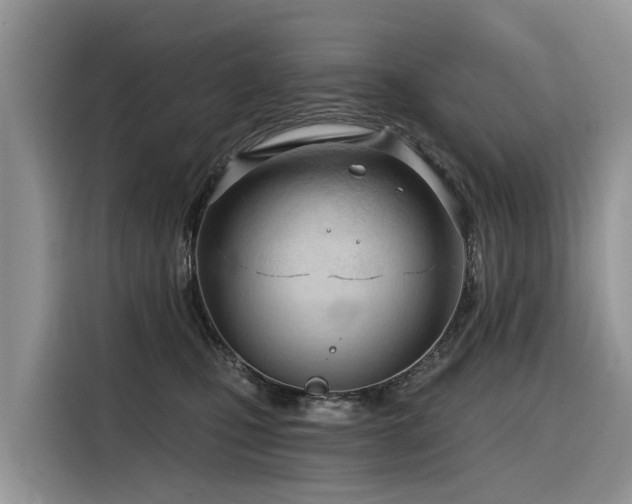 X0000116320471200912011116