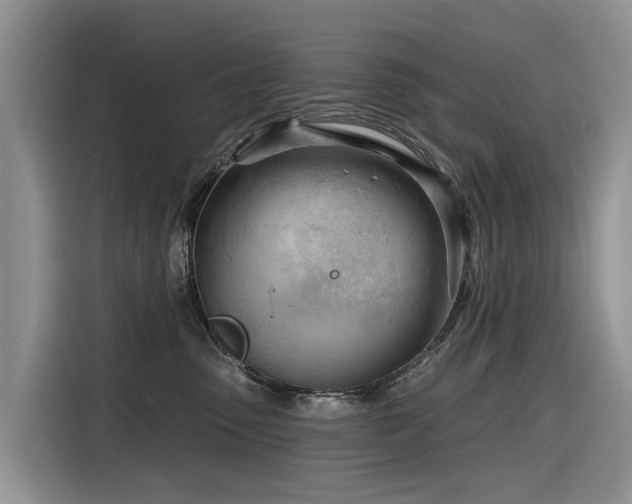 X0000116320475200912011116