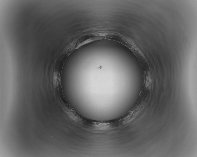 X0000116320476200912011116