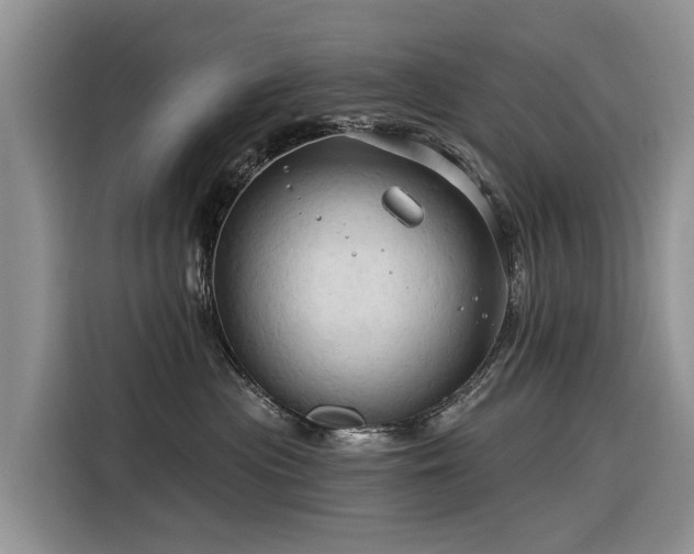 X0000116320477200912011116