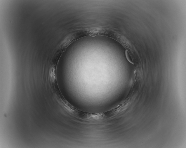 X0000116320479200912011116