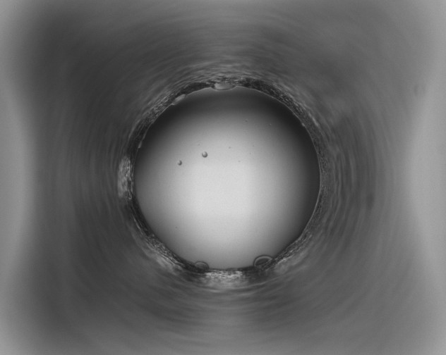 X0000116320480200912011116