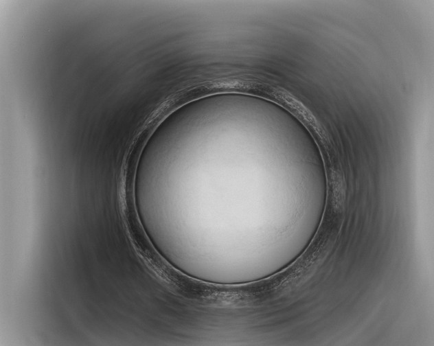 X0000116320482200912011115