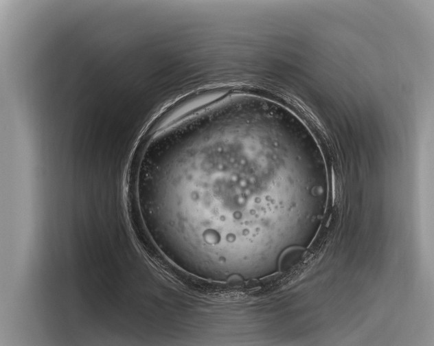 X0000116320483200912011115