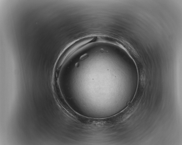 X0000116320484200912011115