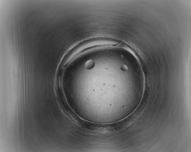 X0000116320488200912011115