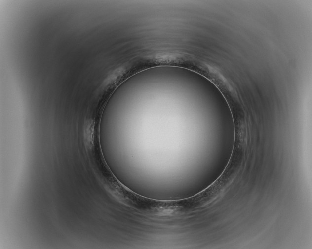 X0000116320495200912011115