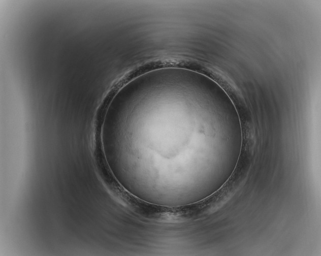 X0000116320496200912011115