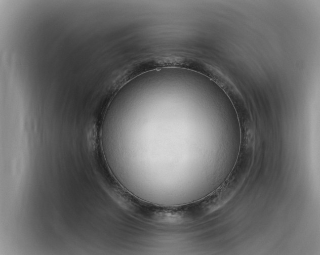 X0000116320498200912011115