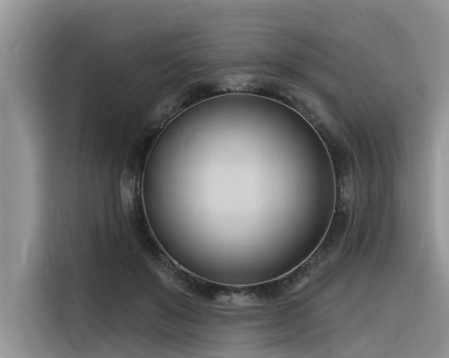 X0000116320503200912011115