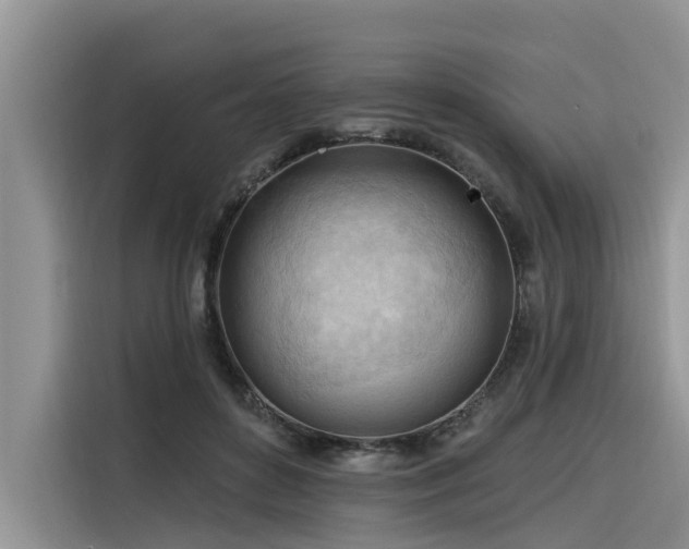 X0000116320504200912011115