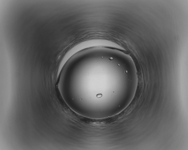 X0000116320508200912011115