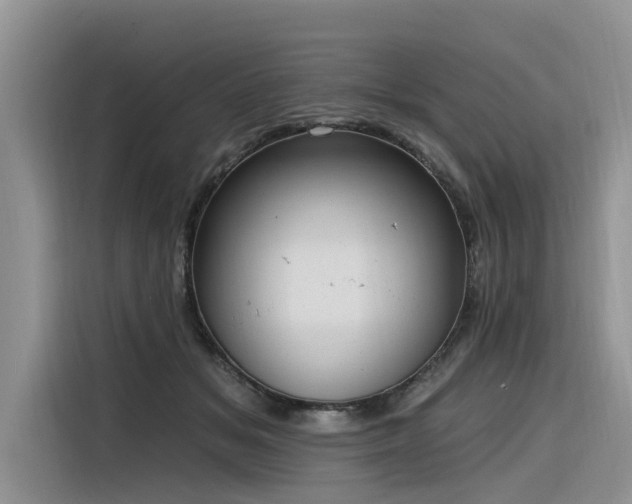 X0000116320509200912011115