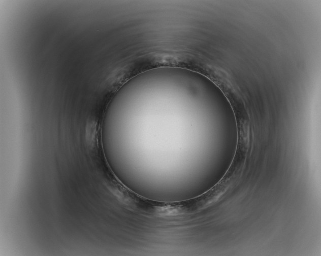 X0000116320511200912011115