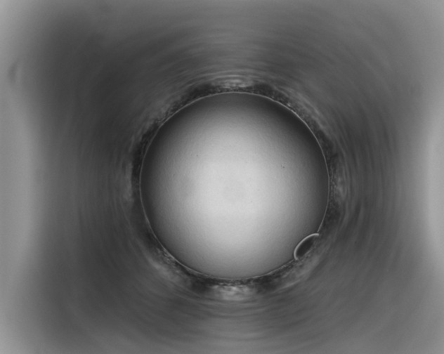 X0000116320512200912011115