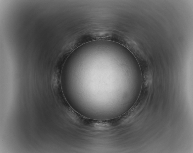 X0000116320515200912011115