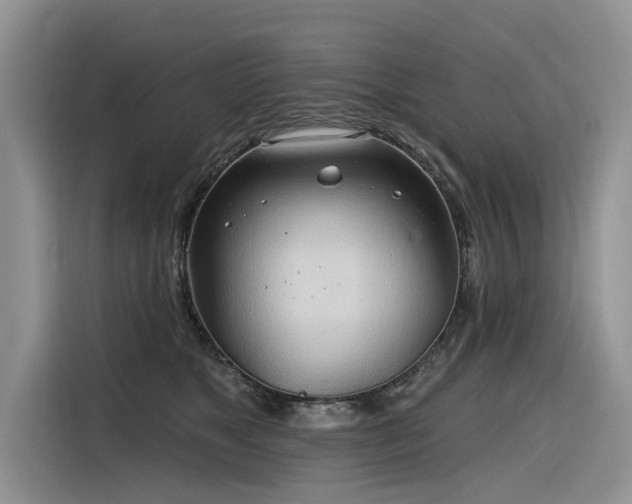 X0000116320517200912011115