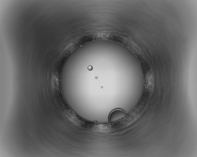 X0000116320522200912011115