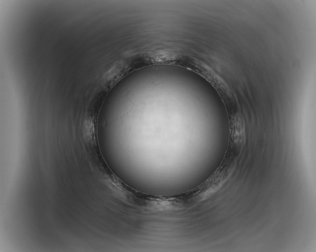 X0000116320523200912011115