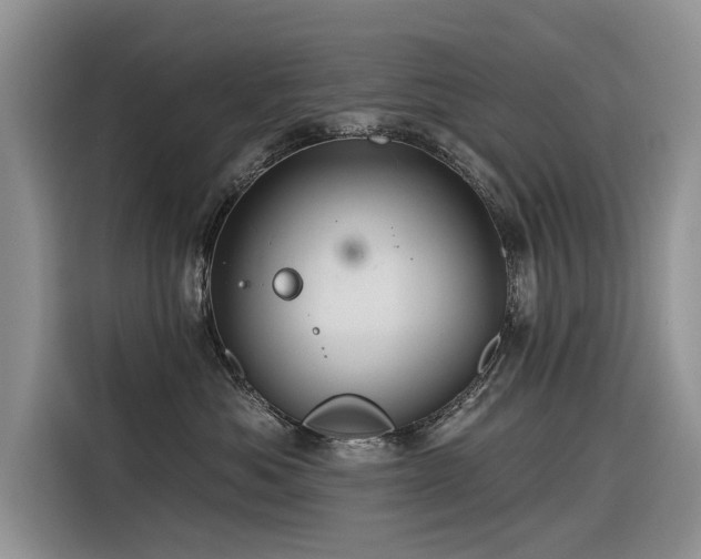 X0000116320525200912011115