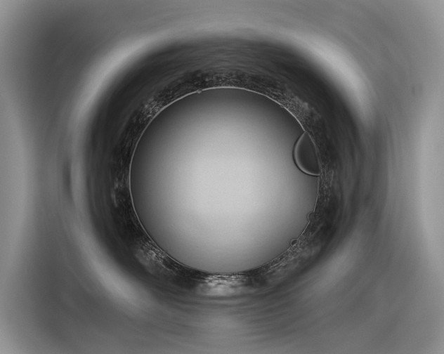 X0000116320526200912011115