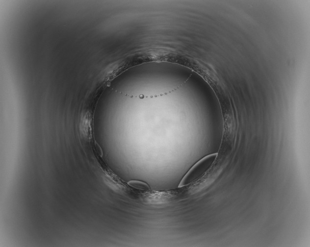 X0000116320527200912011115