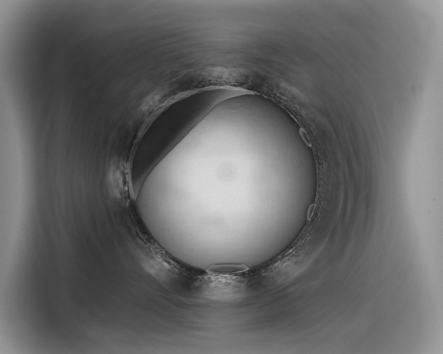 X0000116320528200912011115