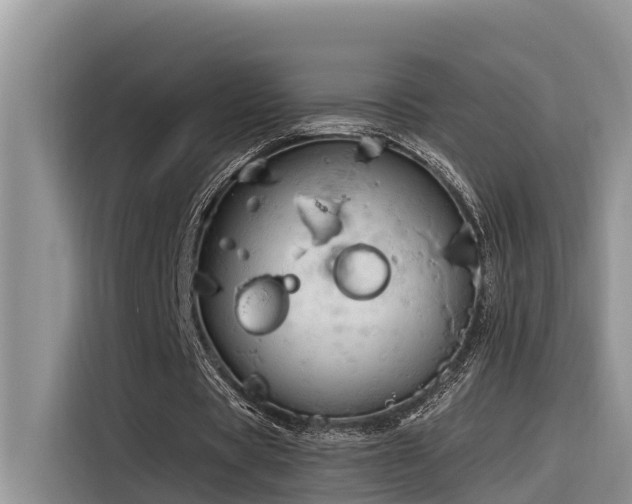 X0000116320529200912011114