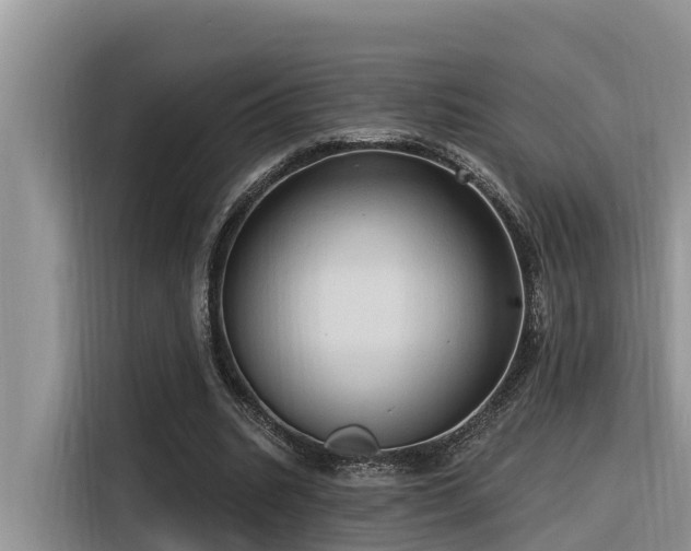 X0000116320535200912011114