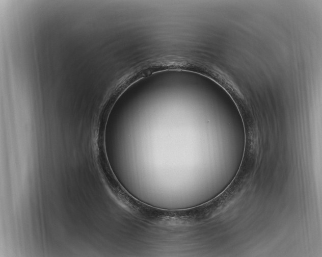 X0000116320538200912011114