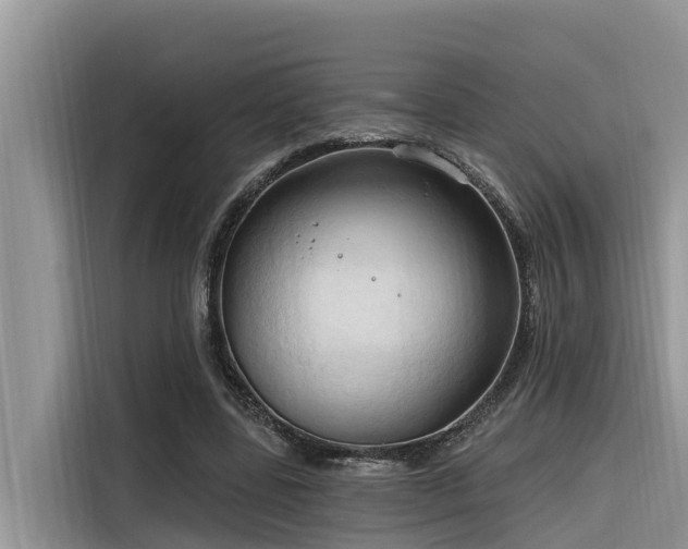 X0000116320539200912011114